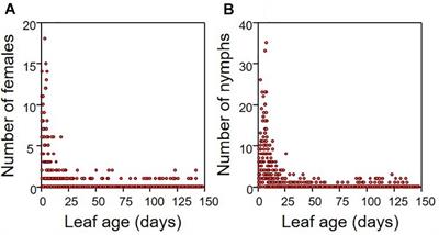 The Impact of Phloem Feeding Insects on Leaf Ecophysiology Varies With Leaf Age